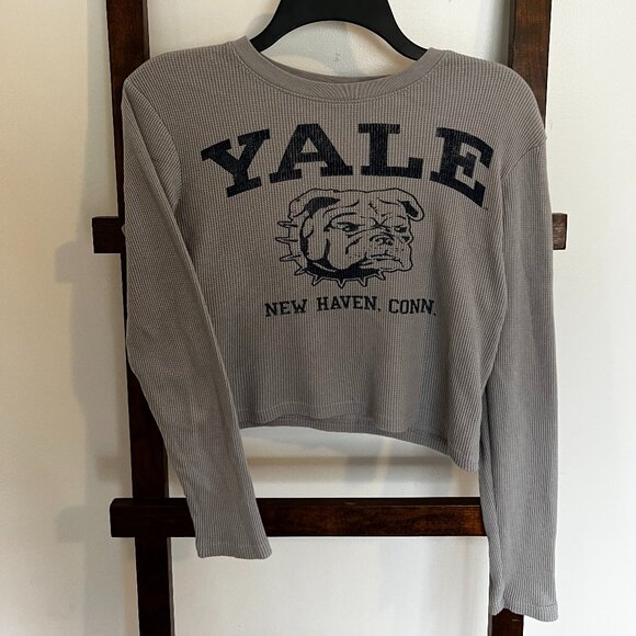 Light Grey Ribbed Cropped Tee - Picture 1 of 4